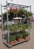 Hanging baskets im Gestell, in einem dänischen Wagen